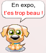 CACIB - 12-13/01/2013 - PARIS DOG SHOW (75) 534258
